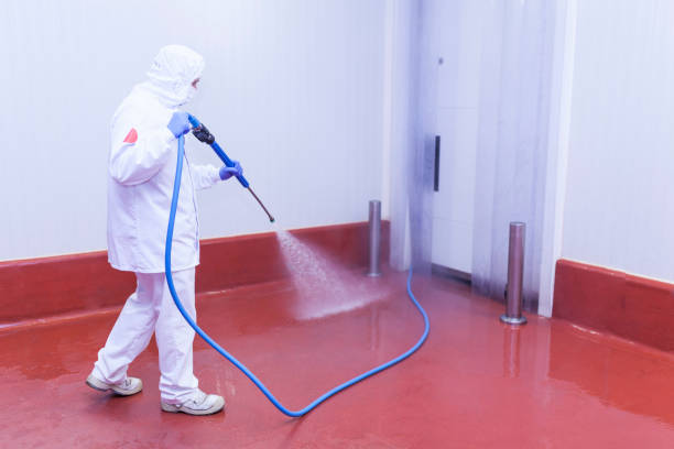 Best Roof Washing  in Kermit, TX